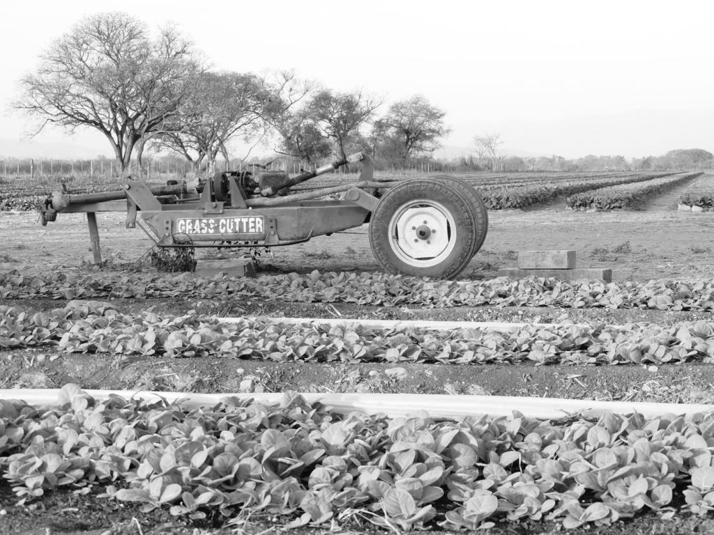 Finca Las Margaritas Chicoana Luaran gambar