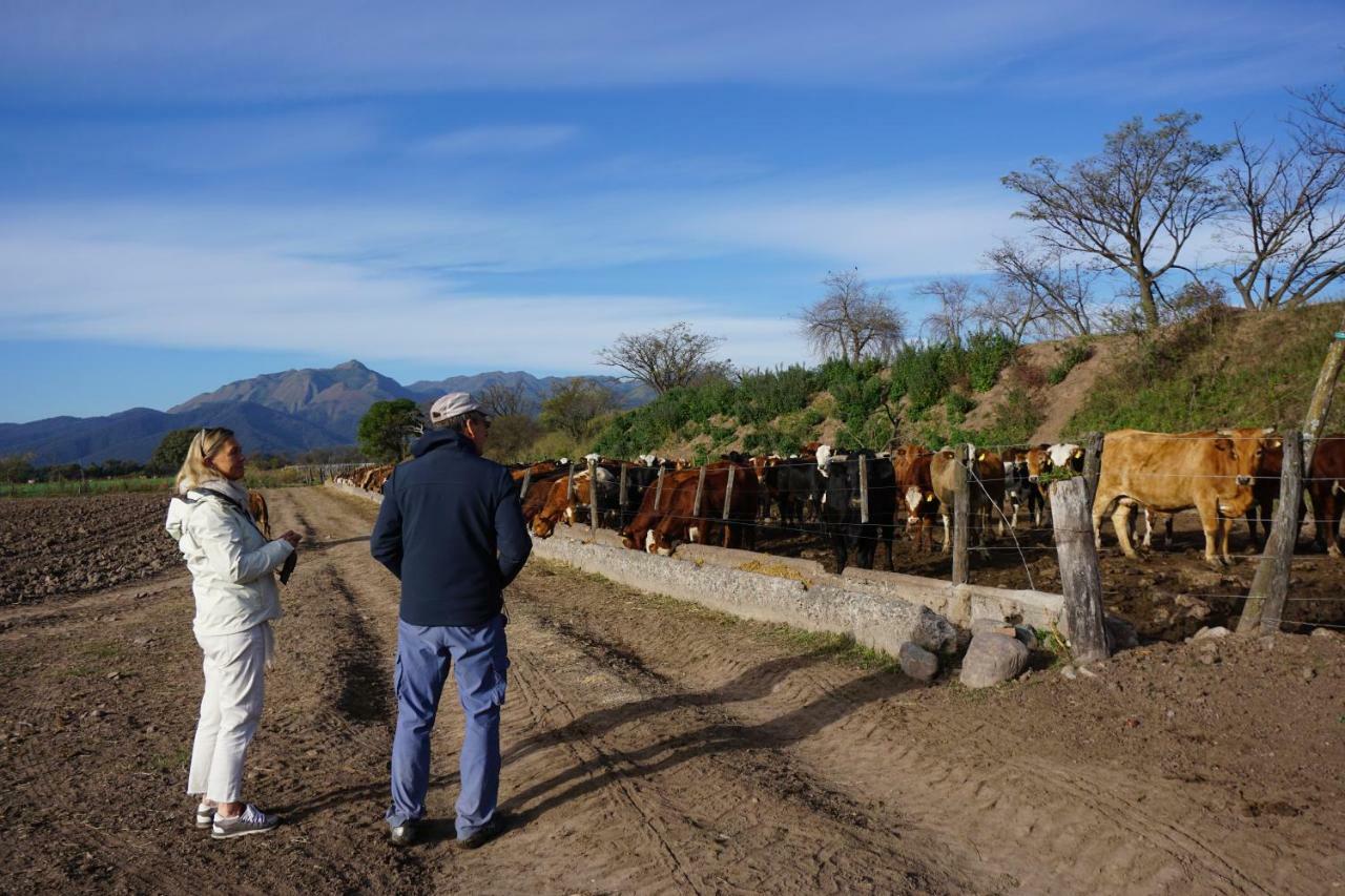 Finca Las Margaritas Chicoana Luaran gambar